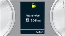 Display: Combined fuel warning for petrol and natural gas