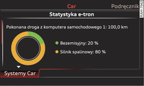 Wygląd przykładowy: statystyka e-tron