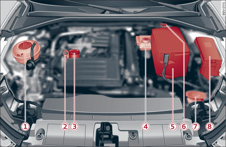 Abb. 308 Typische Anordnung der Behälter, Motoröl-Messstab und Motoröl-Einfüllöffnung