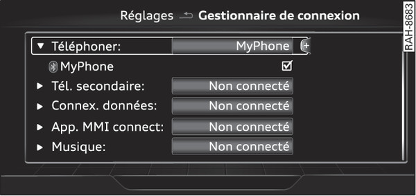 Fig. 259 Gestionnaire de connexion