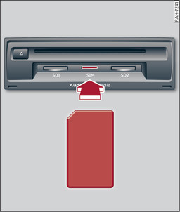 Fig. 220Scheda Mini SIM in dimensione originale