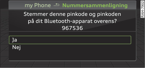 Fig. 208 Visning af pinkode til indtastning i mobiltelefon