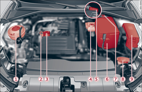 Fig. 306 Typical locations of fluid containers, engine oil dipstick and engine oil filler cap