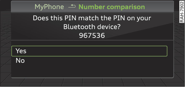 Fig. 208 PIN display for entry on mobile phone