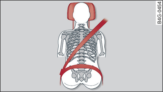 Fig. 259Apoyacabezas visto desde delante