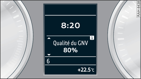Fig. 109 Combiné d instruments : affichage de la qualité du gaz naturel