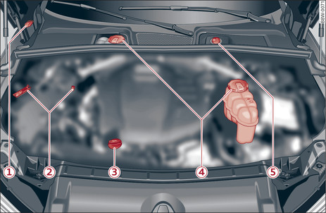 Fig. 296 Typical locations of fluid containers and engine oil filler cap