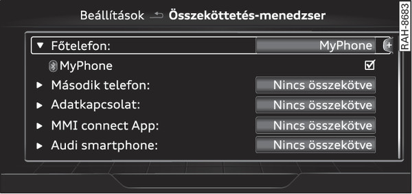 253. ábraÖsszeköttetés-menedzser