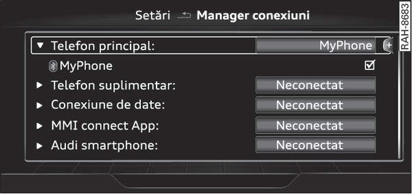 Fig. 253Manager conexiuni