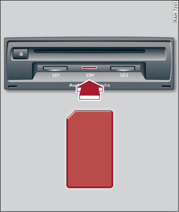 Fig. 218 Mini SIM card (actual size)