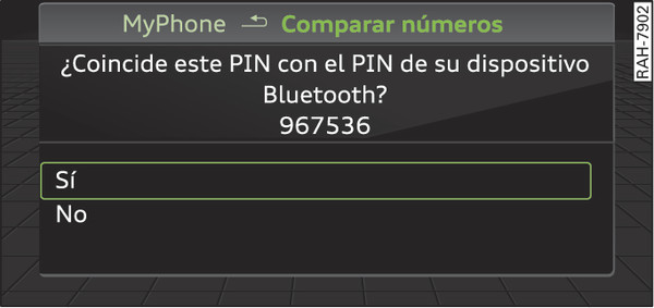 Fig. 208Indicación del PIN para introducir en el móvil