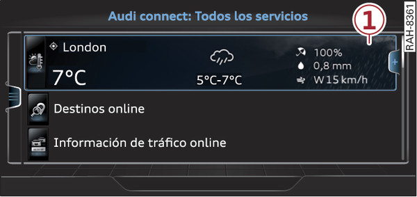 Fig. 221Página de inicio de Audi connect