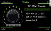 PIN (SIM) eingeben