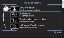 Iniciar sesión en myAudi