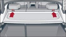 Asiento trasero: Anclajes Top Tether