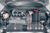 Versione Audi Q3 dell'anno 2014 Rabbocco del liquido di raffreddamento