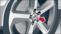 Wheel: Hubcap