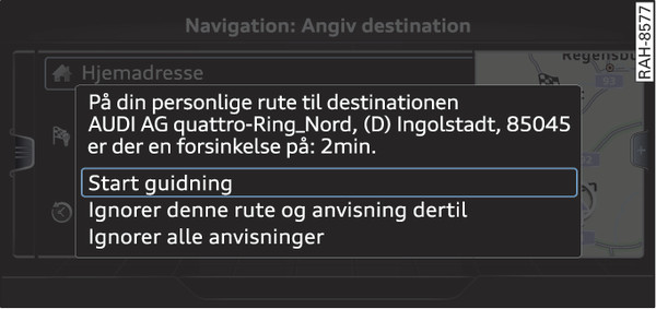 Fig. 209 Information vedr. personlig rute
