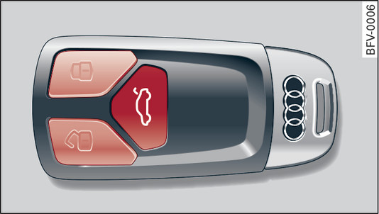 Fig. 21Llave del vehículo: Teclas