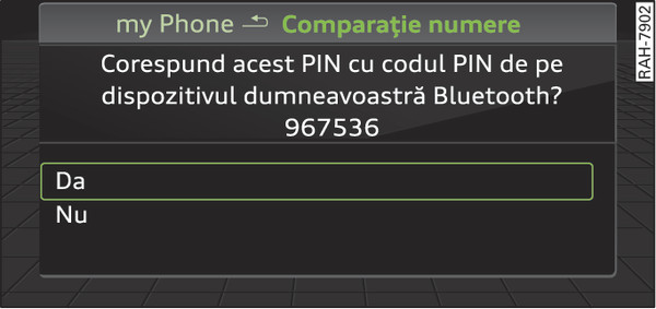 Fig. 194Afișarea PIN-ului pentru introducerea în telefonul mobil