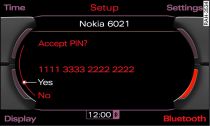 PIN display for entry on mobile phone