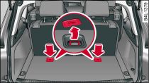 Respaldo del asiento trasero, detrás (tercera fila de asientos*): Anclajes Top Tether