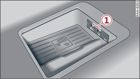 Fig. 217Audi phone box con conexiones