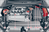 Typical locations of fluid containers, engine oil dipstick and engine oil filler cap