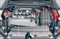 Haznelerin, motor yağı ölçüm çubuğunun ve motor yağı doldurma ağzının tipik düzeni