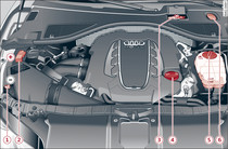 Typische Anordnung der Behälter und der Motoröl-Einfüllöffnung