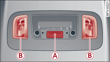 Fig. 43Interno del tetto: luci interne