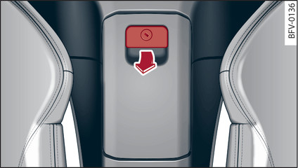 Fig. 224 Storage compartment between the backrests