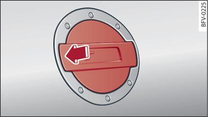 Fig. 207Parte trasera derecha del vehículo: Abrir la tapa del depósito