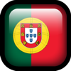 instruções em portugues